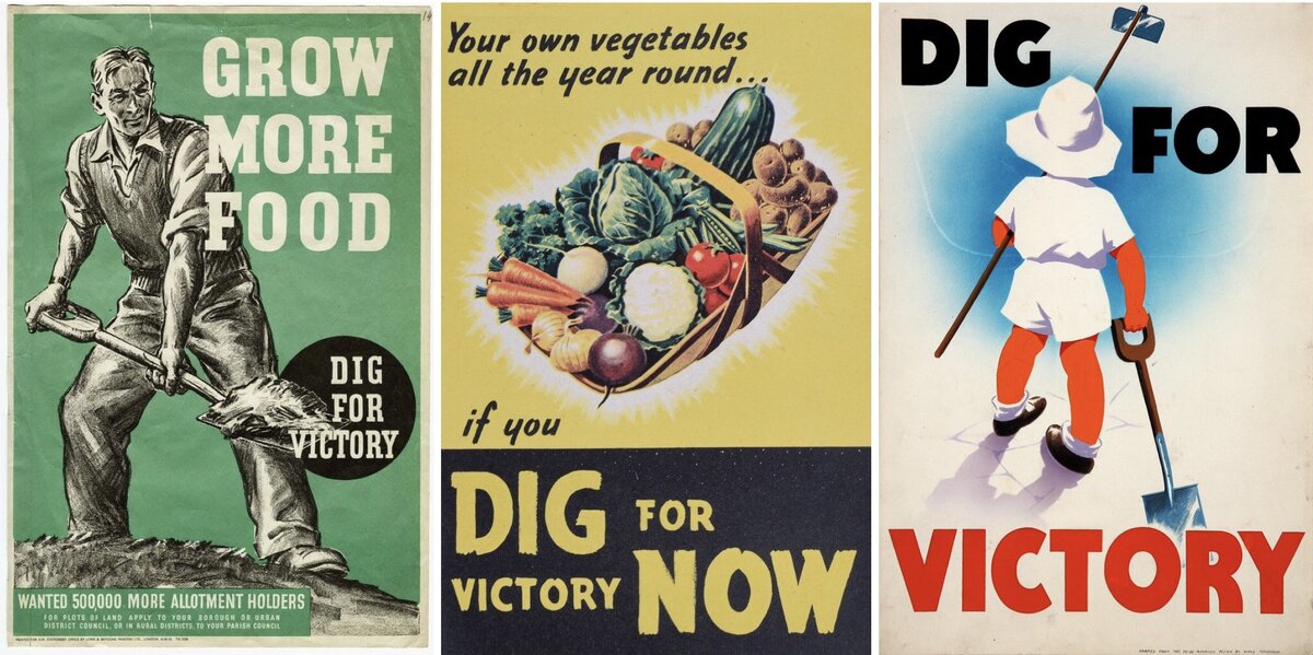 Мотивирующие плакаты, призывающие к выращиванию собственных овощей