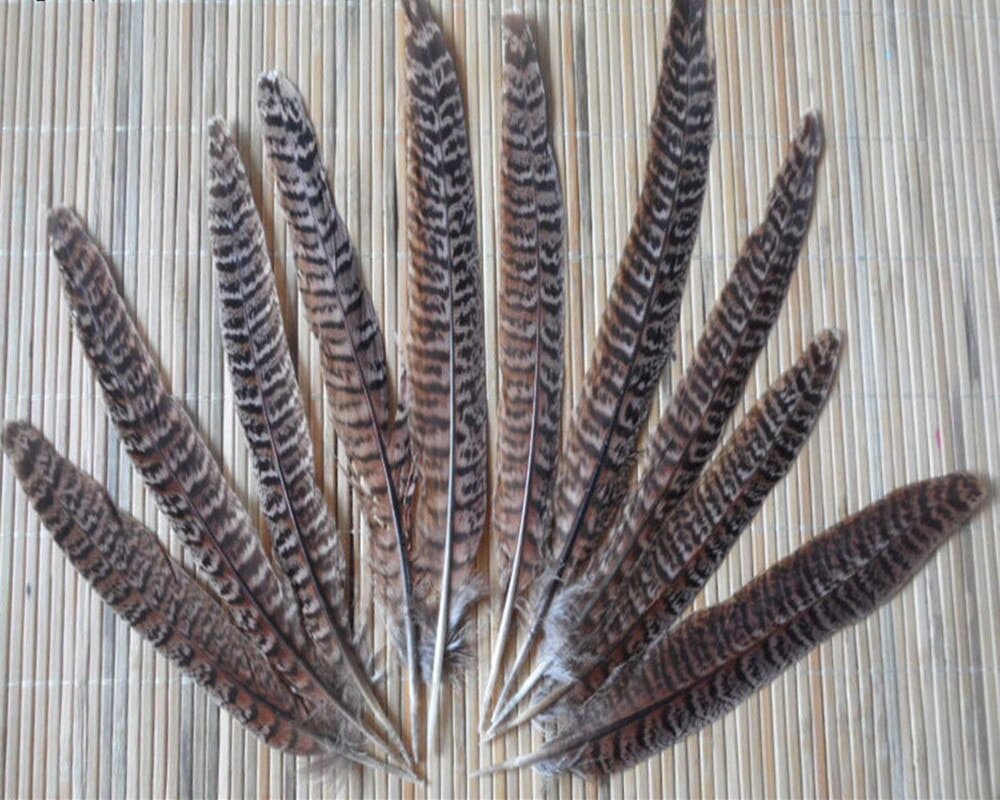 Перо фазана