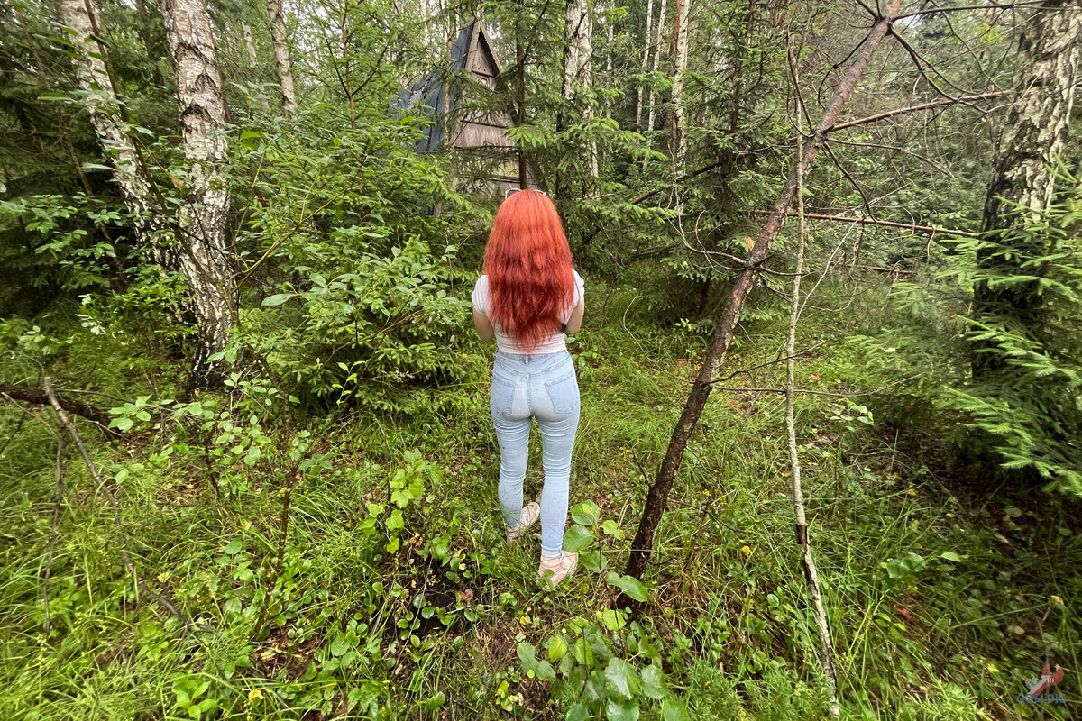 Хижина в лесу. 