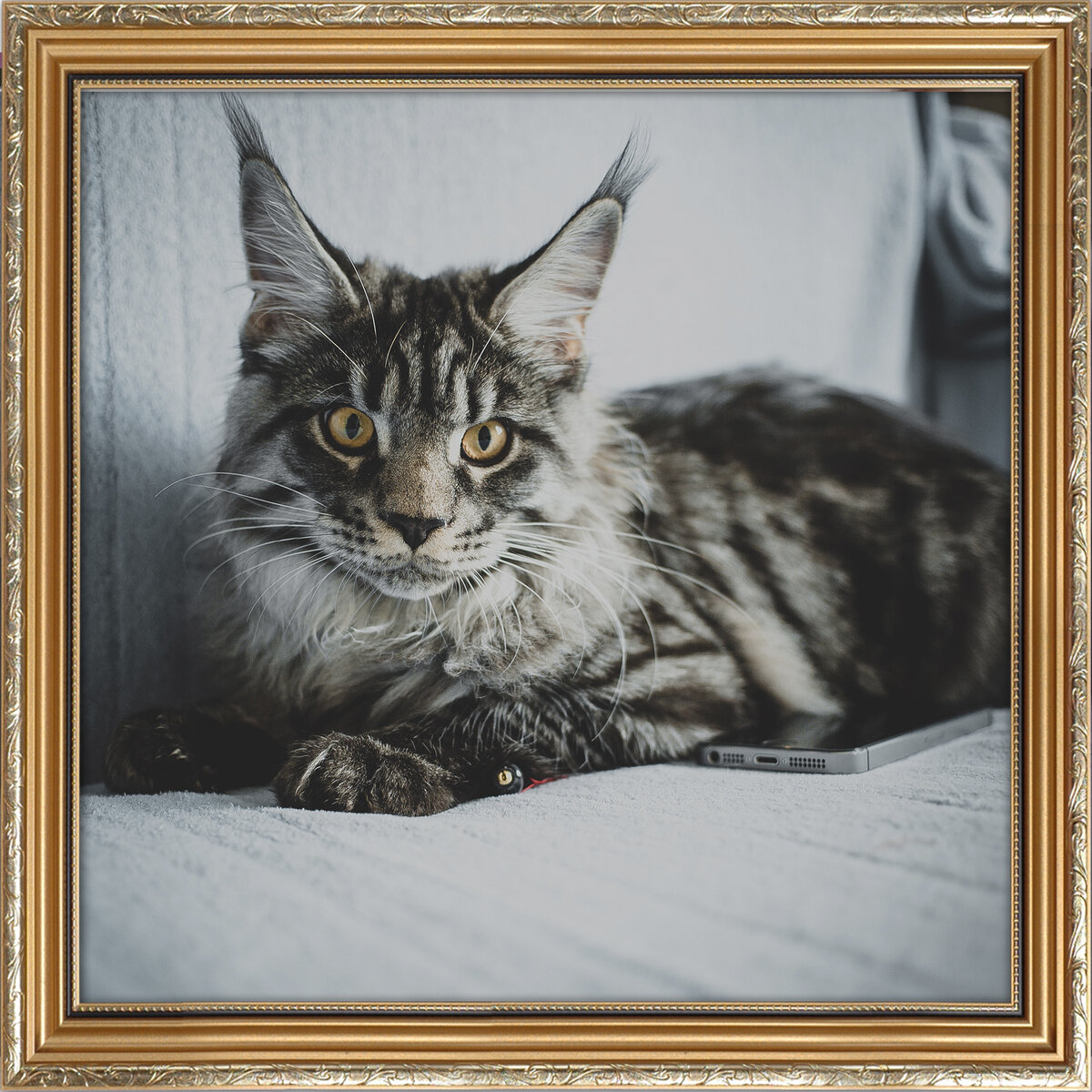 Фото Сергея Крыла на Unsplash