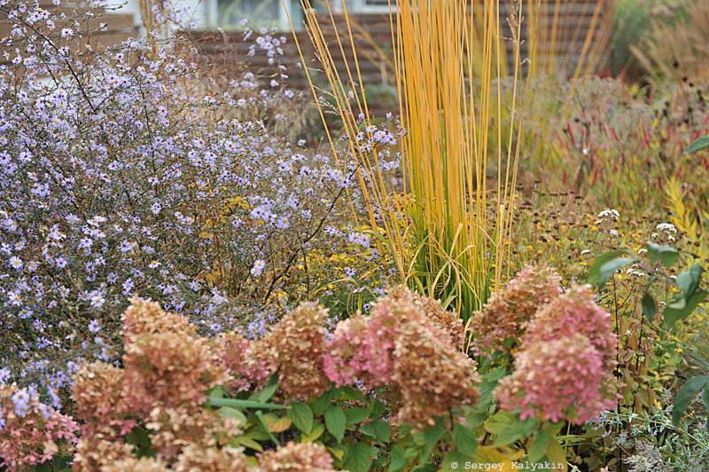 Молиния Winspiel