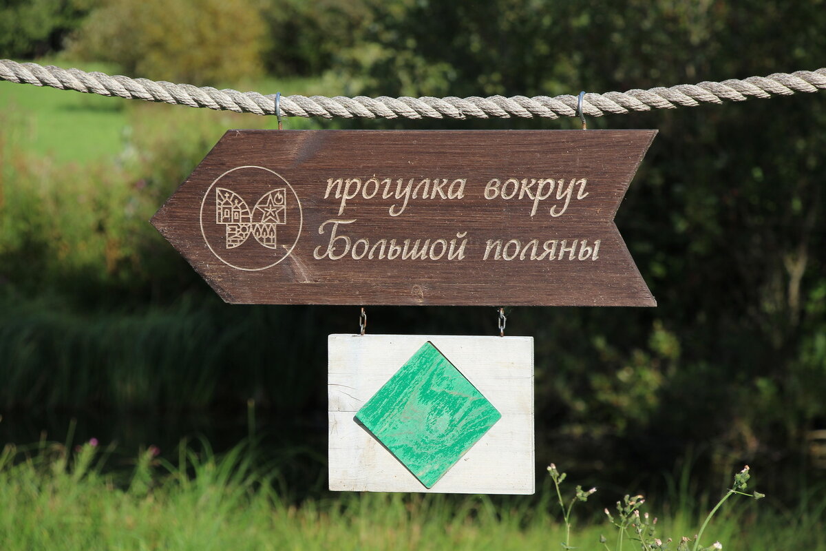 Лес там