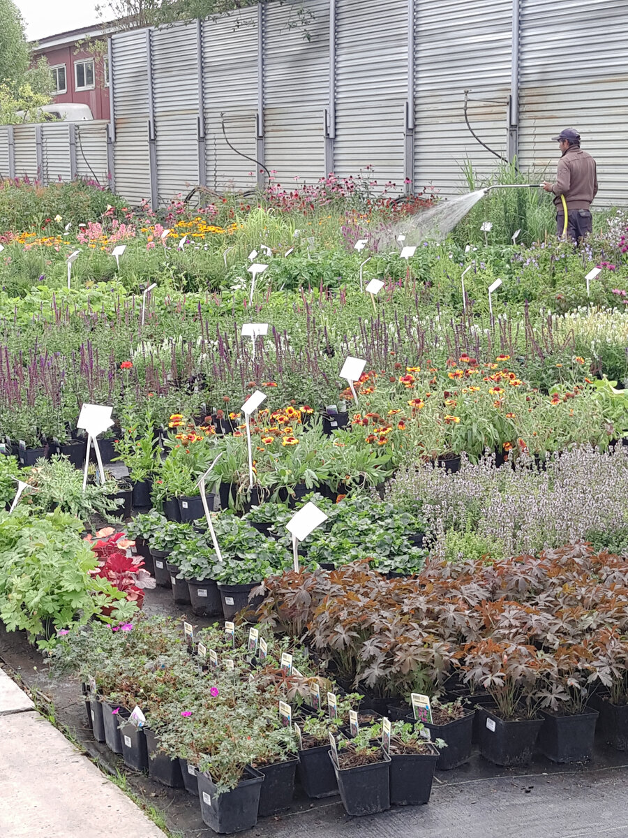 Это фото  июльское