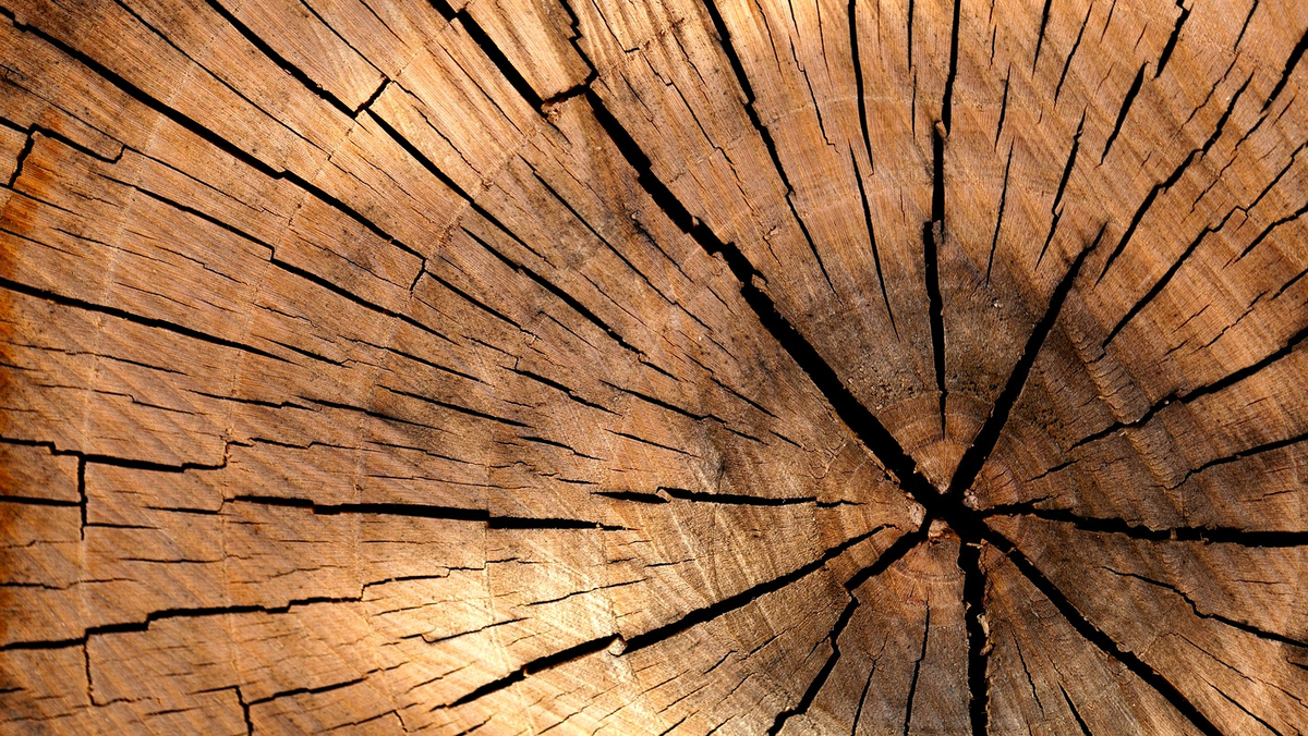 Фото: pixabay.com