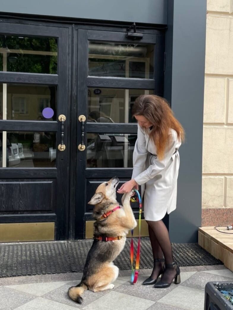 Фото- собственность канала