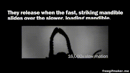 Изображение замедленно в 16 000 раз!