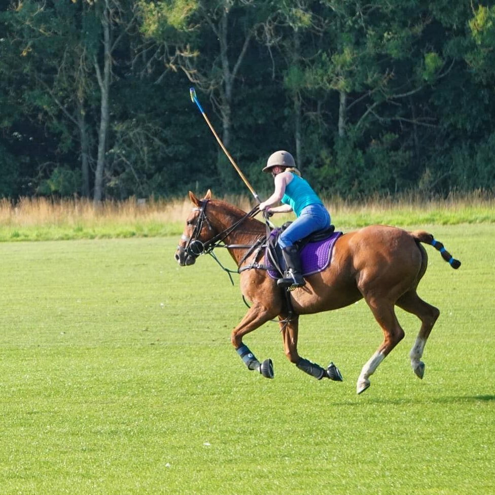 USPA Polo Horse Player Sport