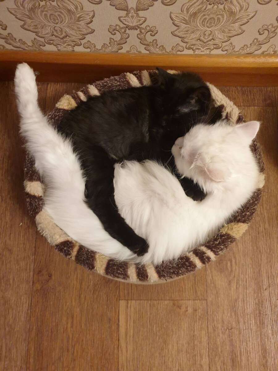 Разве вдвоём может быть тесно? Нет, не слышали 