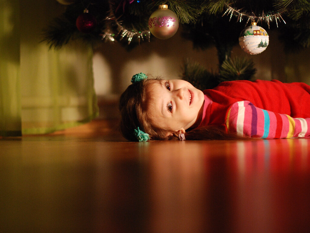 Новый год — прекрасный праздник для всей семьи. Фото: Pxfuel.com 