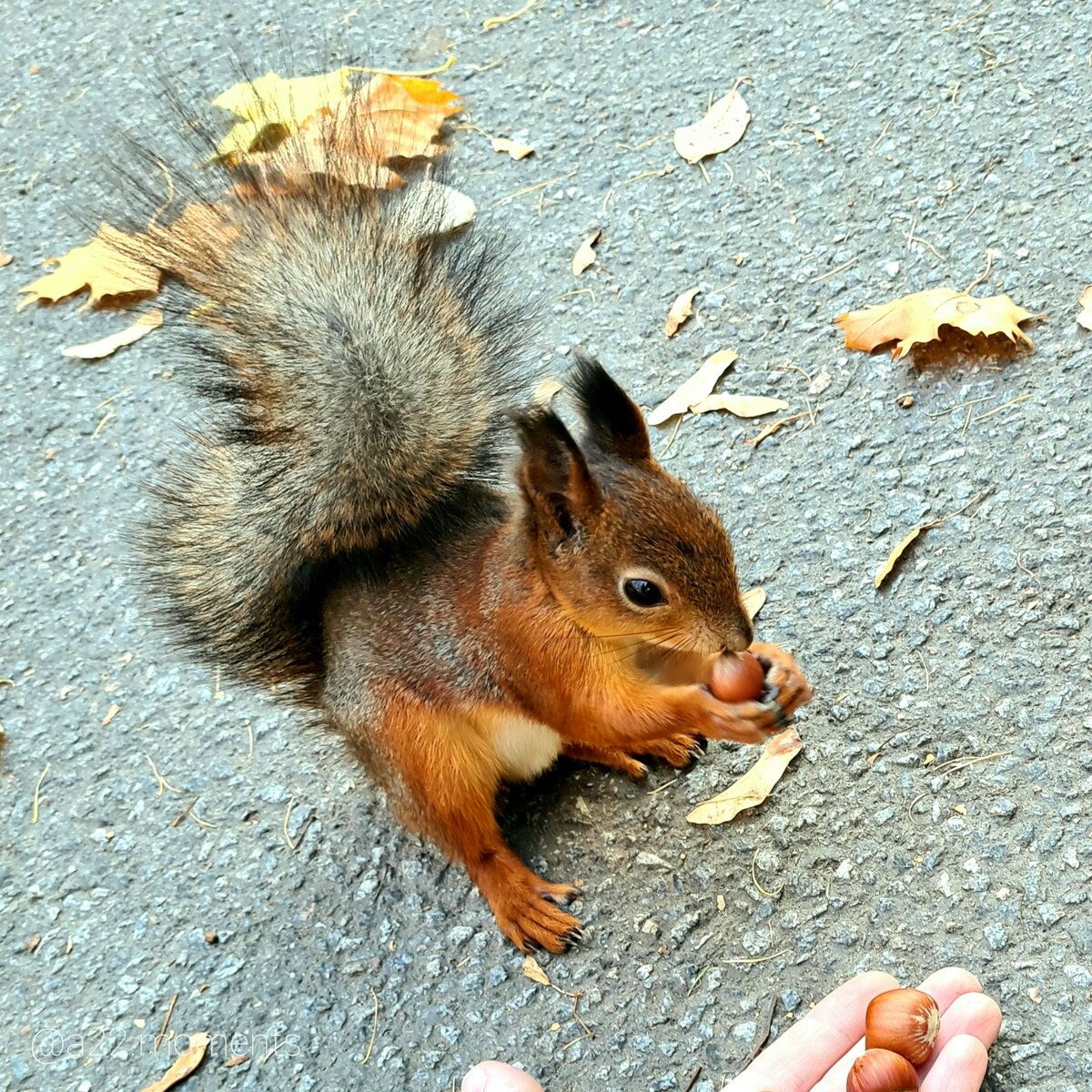 Фото автора 