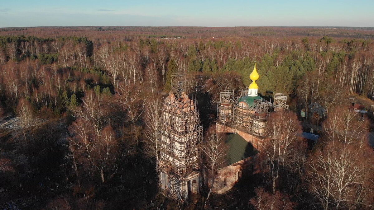 Солнечный купол среди судогодских лесов: какие тайны хранит древний  Старинский погост | Из точки в точку. Редкие экскурсии. Дарья Ермолина |  Дзен