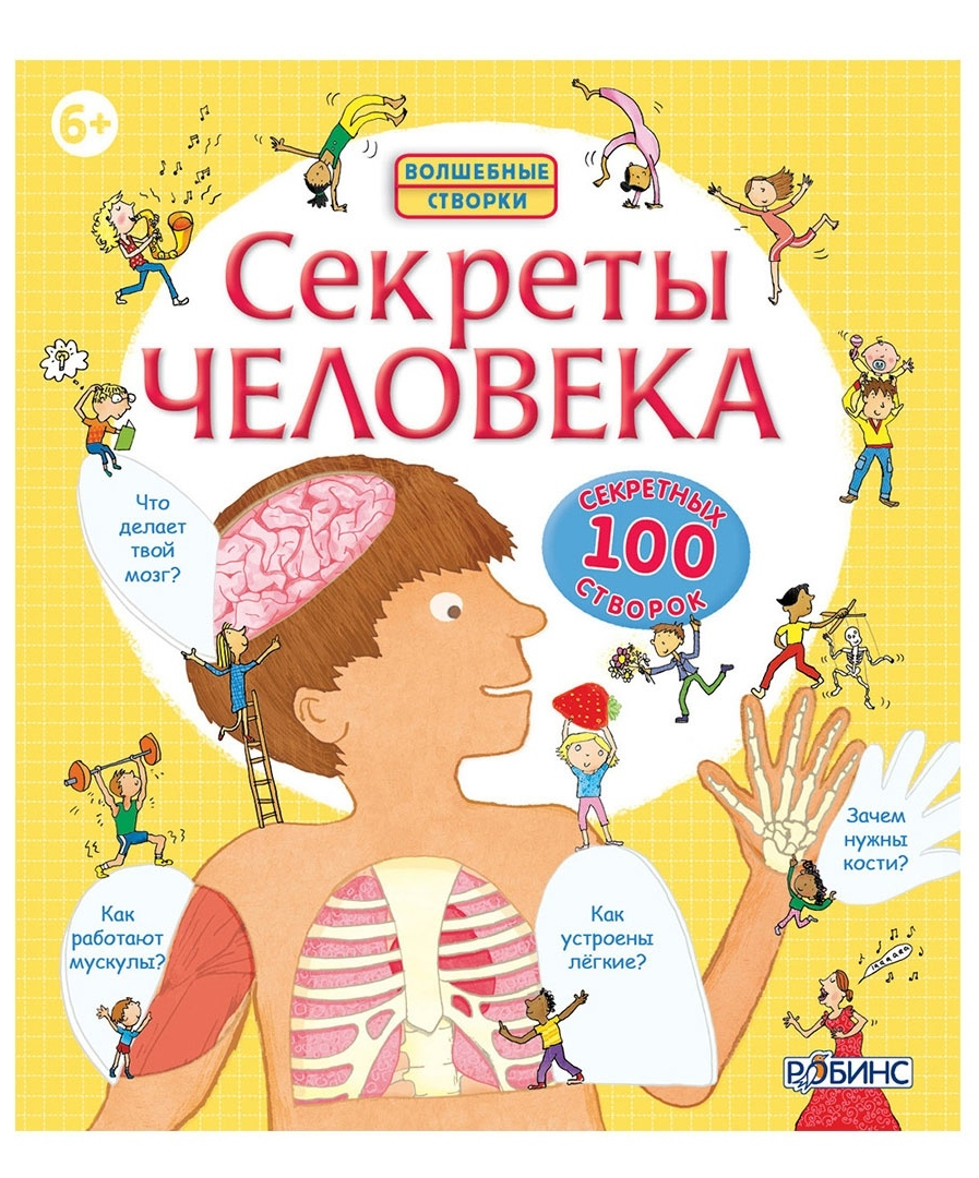 Ответы на все вопросы о нашем теле - за волшебными створками