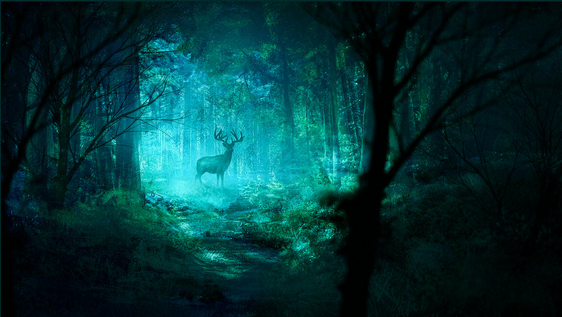 Агеев под луной. Луна над морем. Птицы ночью. You ll find moonlit nights strangely empty. Темная луна арт.