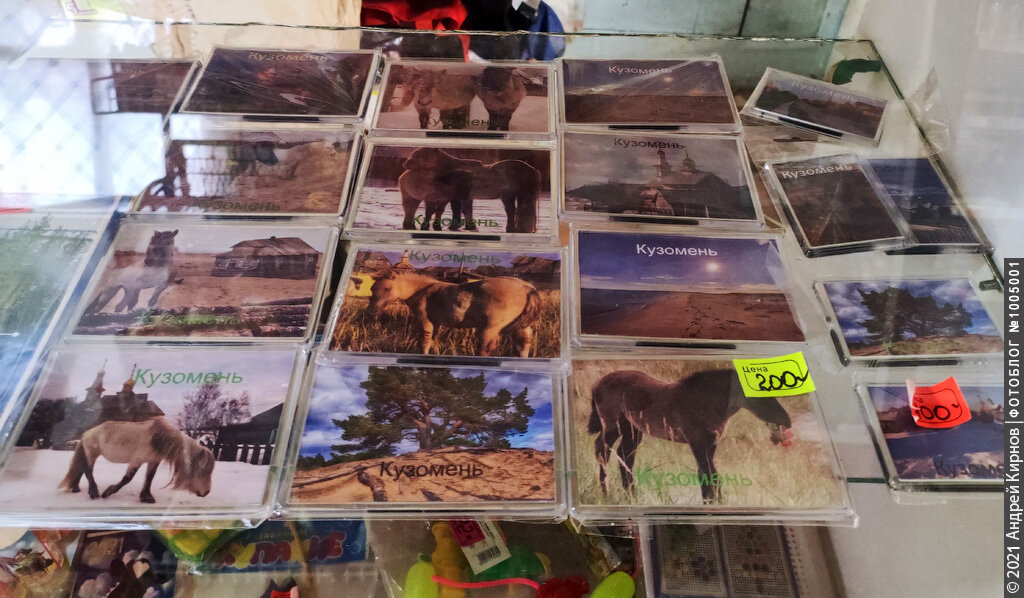 Магнитики с лошадьми в местном магазине
