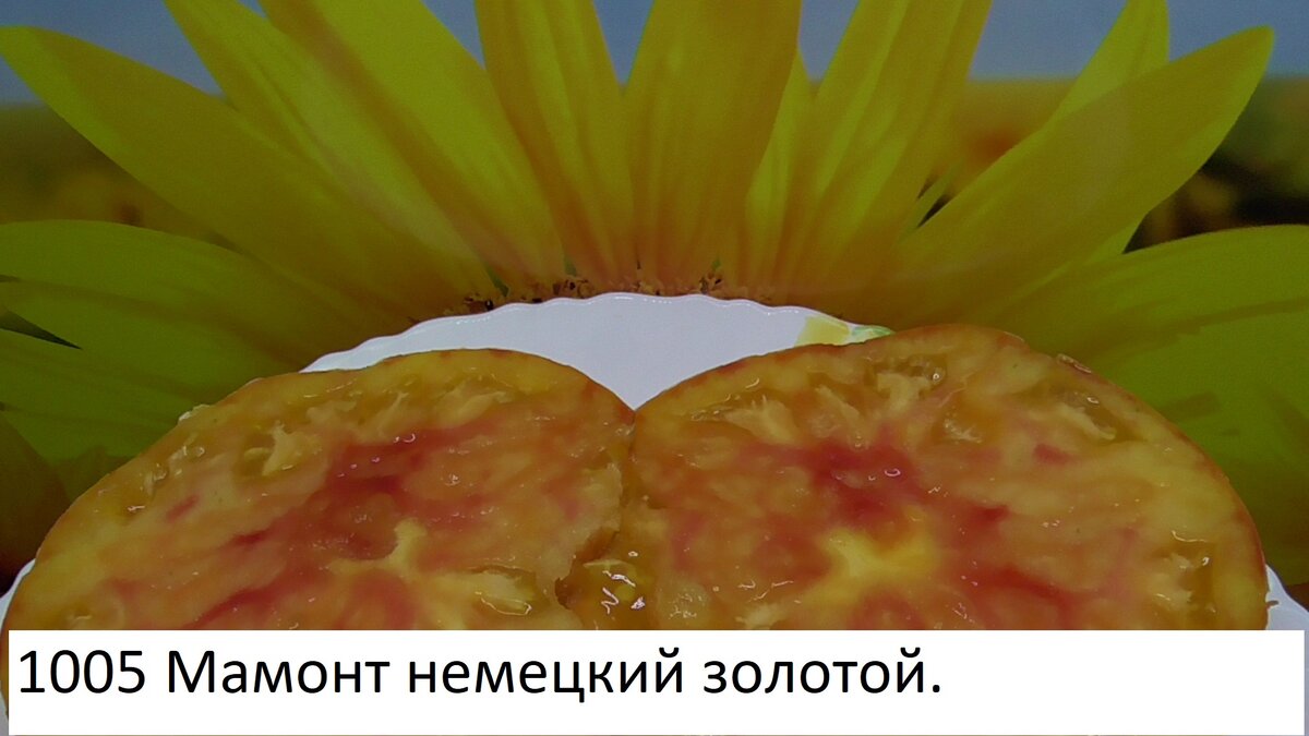 -152