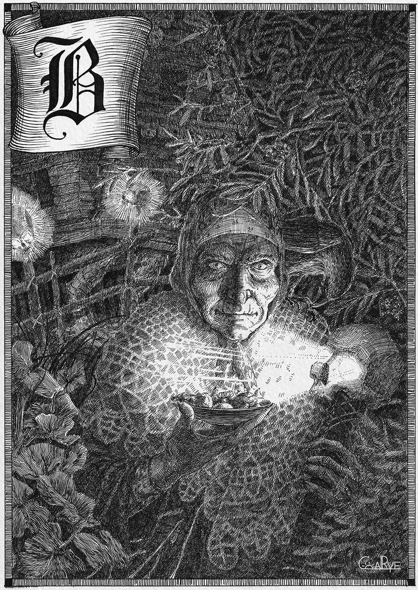 Иллюстрация Юлии Широниной