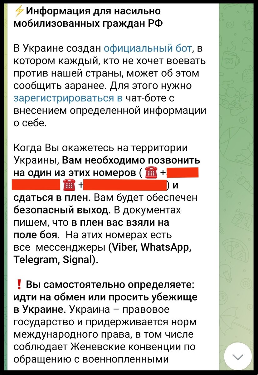 Добровольная сдача в плен — что за это грозит? | Нефиговый пацан | Дзен