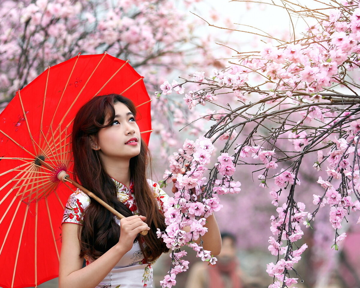 Видео показала китаянка. Японская девушка. Японская девушка с зонтом. Девушка с японским зонтиком. Китаянка с зонтиком.