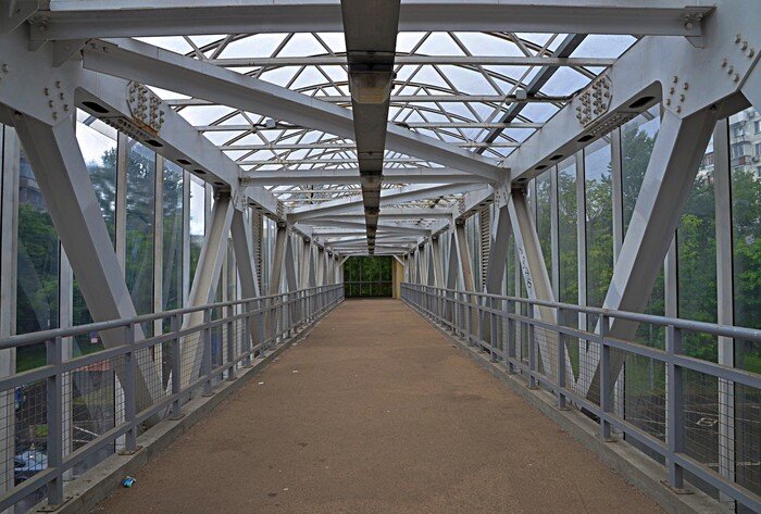 Фото: Анна Быкова / Вечерняя Москва