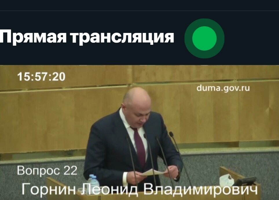 Л.В. Горнин. Скриншот автора экрана прямой трансляции