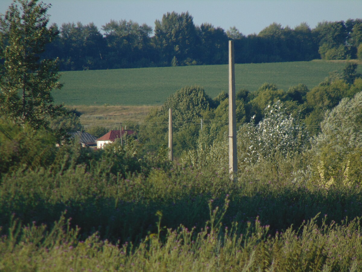 фото автора канала