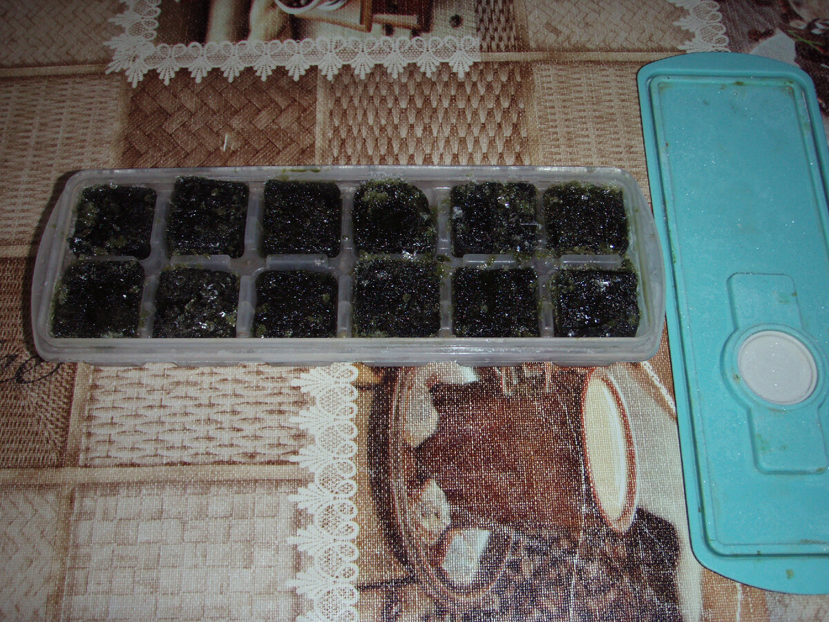 Замороженный сок листьев лопуха в формочке для льда