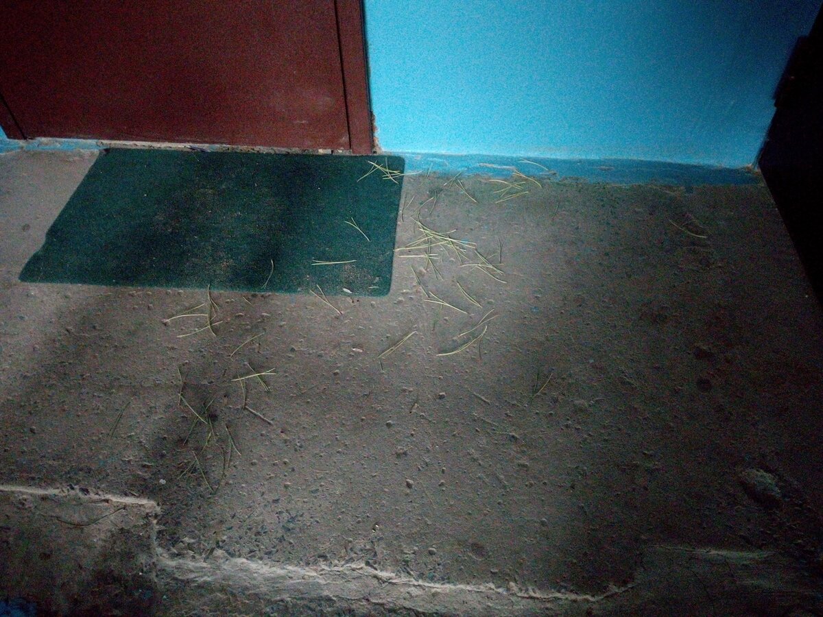 Листайте вправо, чтобы увидеть еще фото.