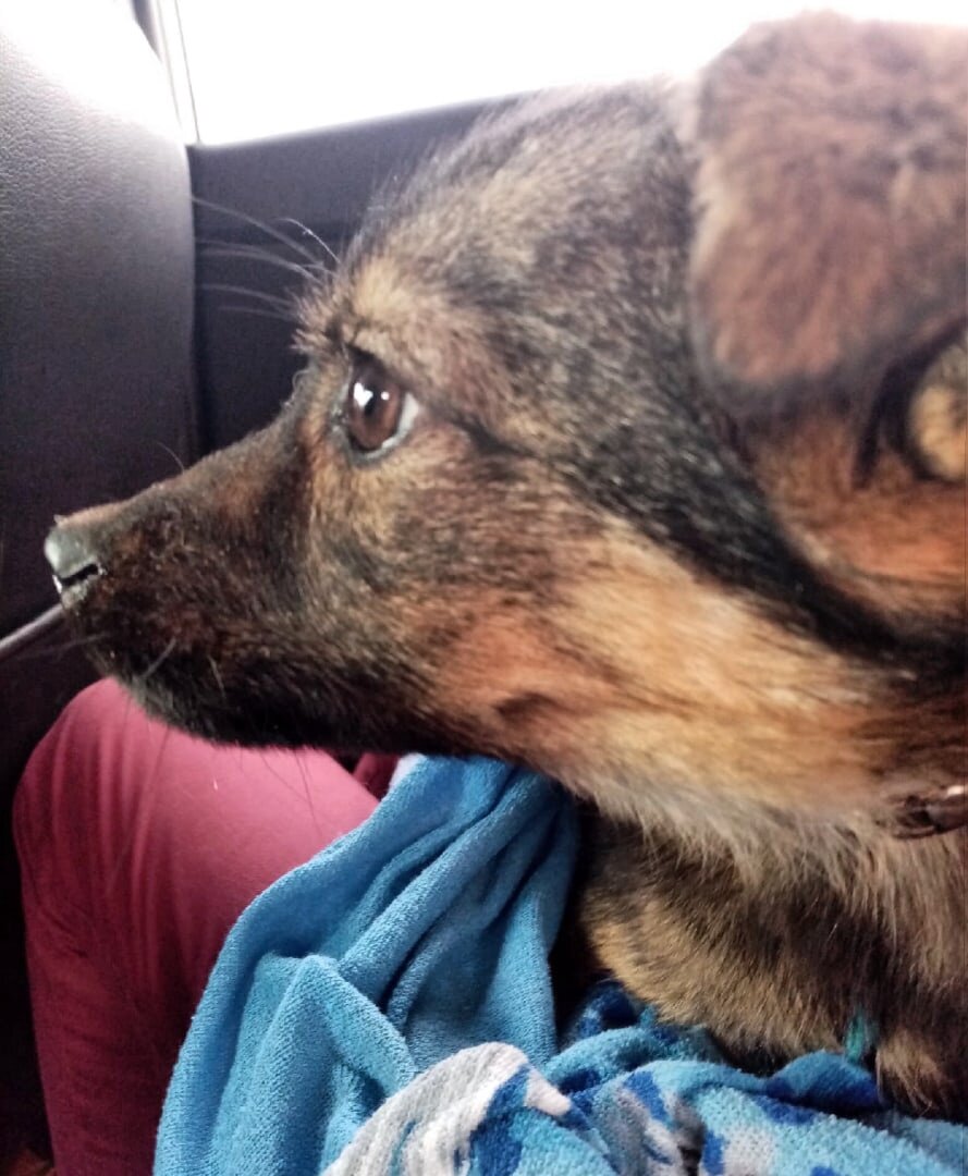 Героиня нашей статьи - малышка Юта