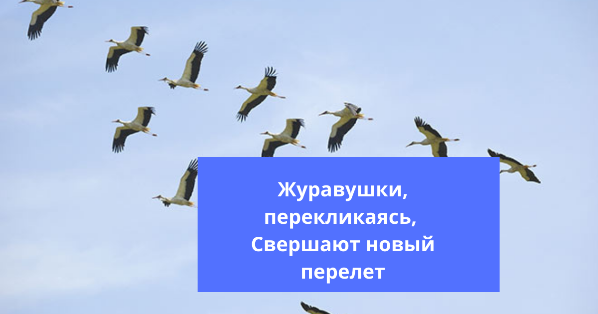 Анализ стихотворения весенние строчки твардовского кратко по плану