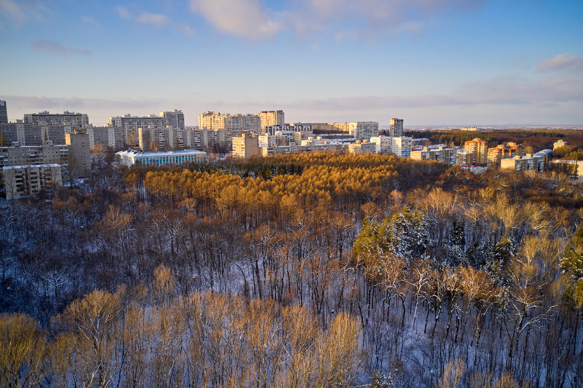 Непейцевский дендропарк