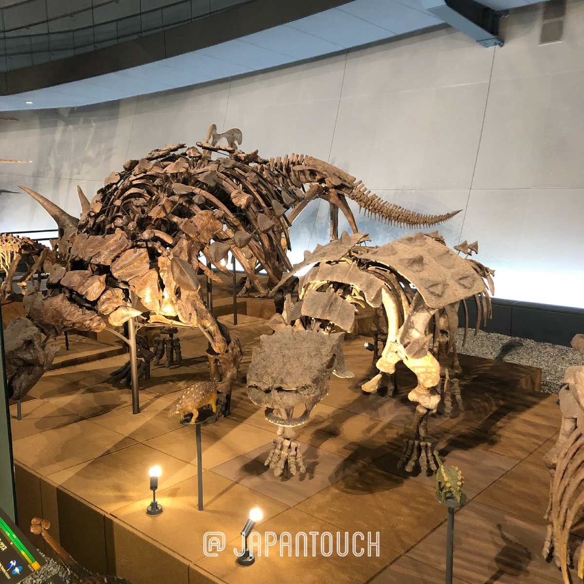 Археологические раскопки ведутся в нескольких километрах от музея