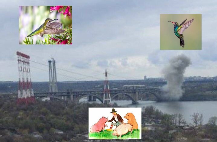 Свинопас со свиньями, птички Колибри и мостик. Источник: Яндекс.Картинки