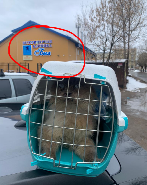 Первый визит Лунтика в "Босю"