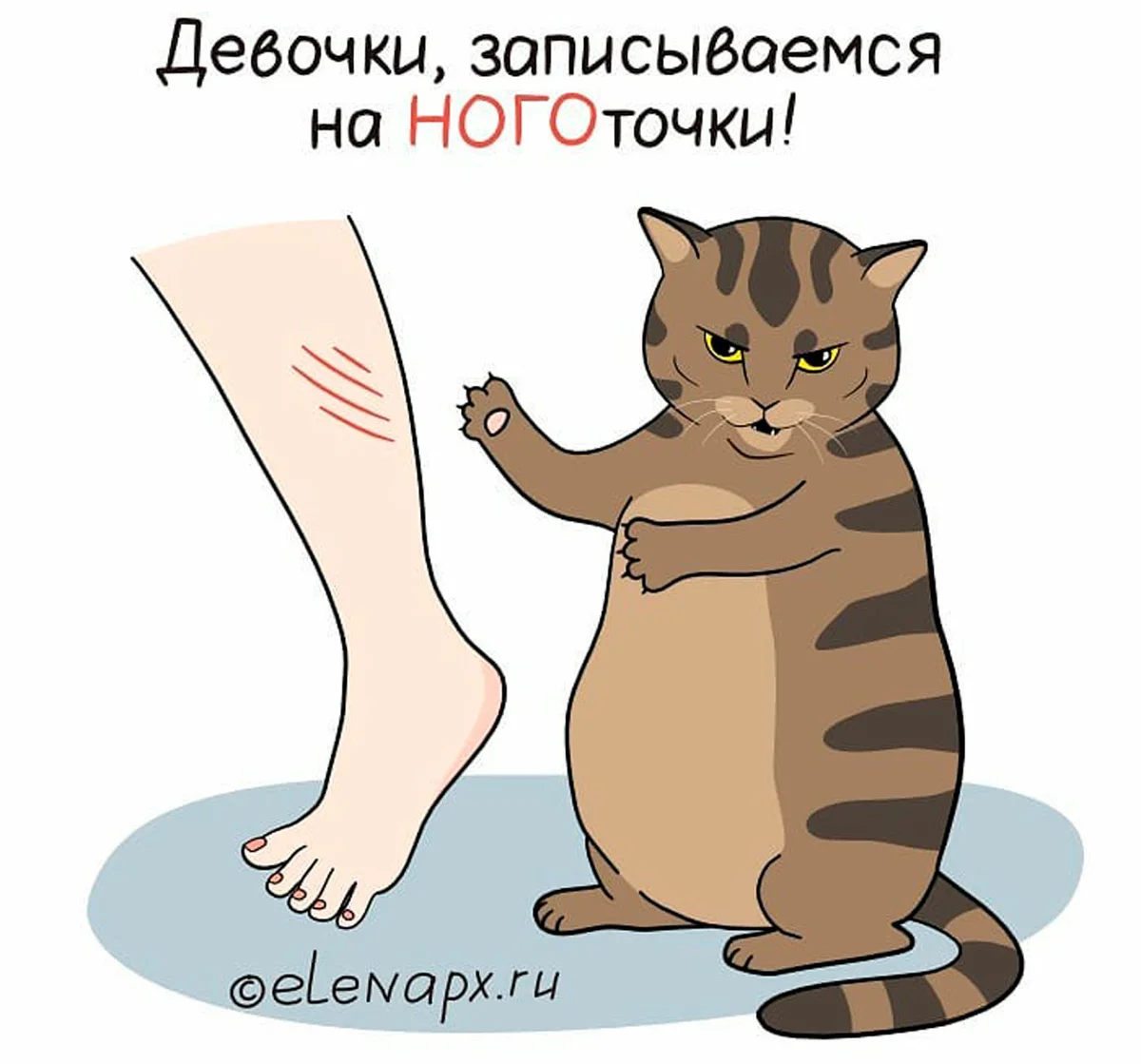 Классификация кота. Кот котик котище. Дневник сварливого кота. Гладишь 3