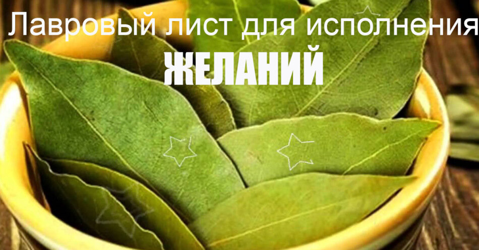 Польза растения для здоровья и духа