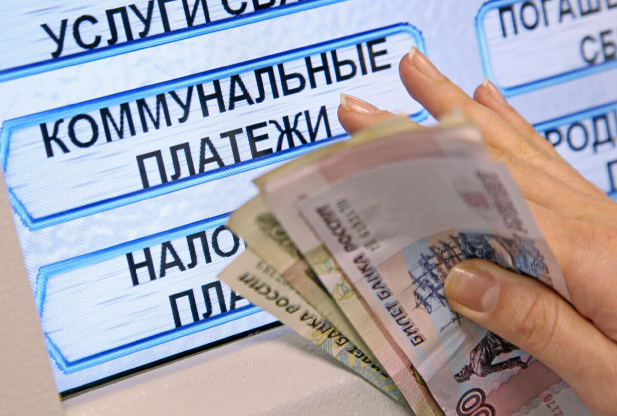 Яндекс картинки 