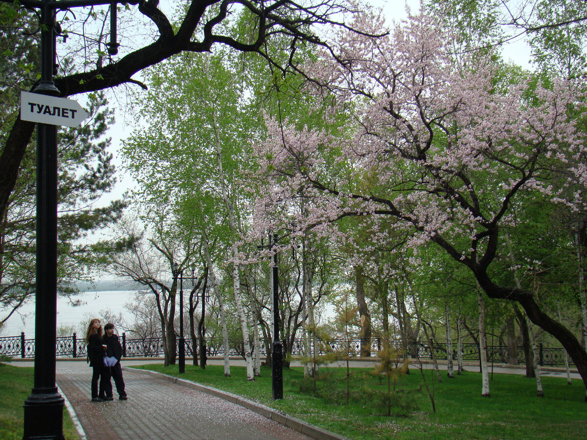 Так попало в кадр: справа - поэзия, слева - проза.