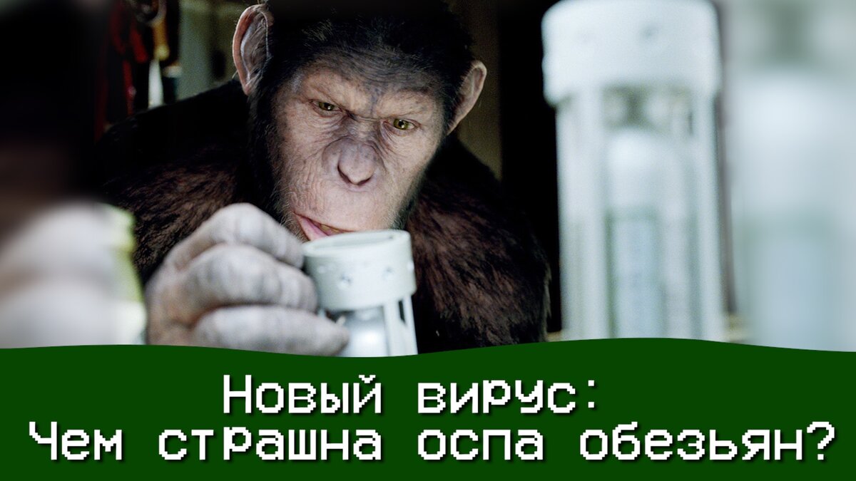 Оспао обезьян. Оспа обезьян города. Оспа обезьян города. Вспышка оспы обезьян (2022). Оспа от обезьяны профилактика.