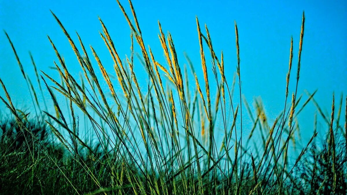 Погода в России стабилизируется. Фото: Pexels.com 