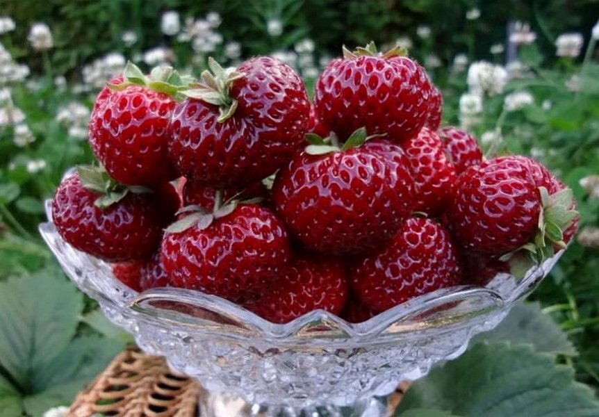 Картинка из интернета. Она такая и есть