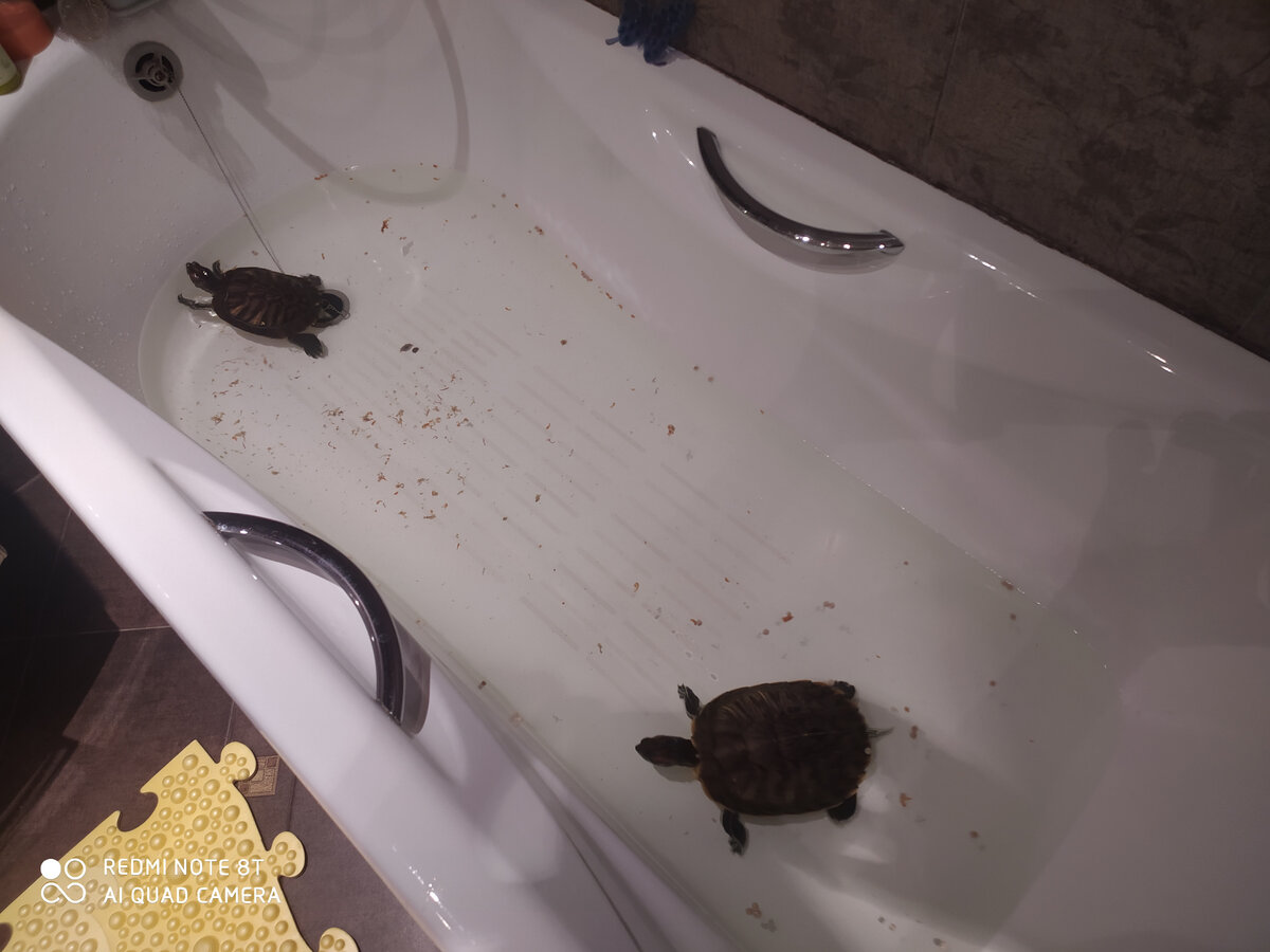 обеденный перерыв в ванне