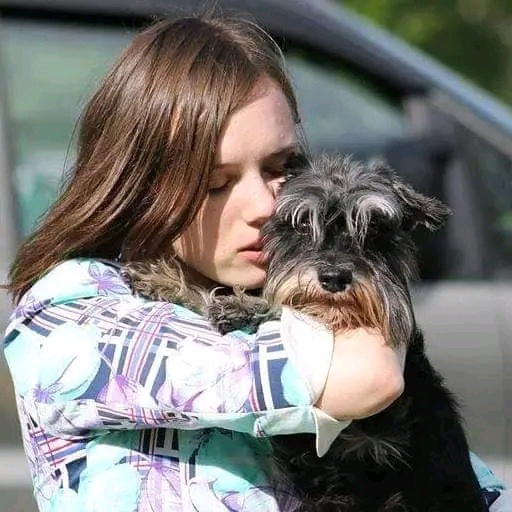 Алекс.
Мой первый шнауцер. Мой первый сОбак. Прям совсем совсем мой. Перевернувший мою прежнюю жизнь с ног на голову.
Жила себе девочка Даша, вела нормальную человечью жизнь. Училась, бегала на свиданки, маялась общепринятой дурью, занималась со своей лошадкой (он, кстати, ваще капец как не вписывался в эту идиллическую картинку). И очень хотела собаку. Безумно.

Я помню этот день до мельчайших подробностей. Как приехали к заводчику, как я выбирала щенка, как потом ехали с ним в обнимку на машине и придумывала имя. А потом подъёмы в 7 утра. С собаками же принято гулять рано утром? Ни я, ни щенок категорически не хотели выпинываться из кровати. Но с тяжким вздохом брели оба на улицу в темноте.
А потом клуб, шевство надо мной. Я помню, люблю всех до сих пор и ценю за это самое шевство. Не все есть в друзьях, не все есть в интернете. Но Ирина Данилевская точно есть. Она, мой заводчик Ольга, другие члены клуба. Тогда клуб ещё был клубом. Где отмечали дни рождения, встречались на социализации, где тебя учили, ругали, хвалили. А ты впитывал как губка. Именно эти первые месяцы жизни в клубе определили меня такой как я есть сейчас. И огромное спасибо всем, кто был тогда со мной.
А Алекс был сложным. Очень сложным.
Эту собаку до конца жизни всегда уважали. Кто то любил, кто то ненавидел. Но уважали все.
У Алекса была очень смешная кличка по документам - Алексашка Рубаха Парень. Я очень стеснялась её. Отсюда мои тараканчики по поводу имён у собак.
Мыслей очень много, они хаотичны и хочется рассказать прям обо всем и сразу))
Но начну по порядку.
Я же говорила, что давно хочу собаку? Надо ли говорить, что несчастный пёс ощутил на себе все?)))) для меня эта собака уникальна и неповторима. К своим 4 годам у него были сданы окд, бх, тестирования, он  был настоящий шнацер. Такой, знаете.... За любой кипишь кроме голодовки. Аджилити? Фигня, побежали. 
Питч энд гоу? Да не вопрос. На своих первых соревнованиях по питчу он с невозмутимым видом просидел на линии старта не шелохнувшись. Пока я красная как рак прыгала перед ним и пыталась привлечь внимание. Народ хохота. А потом вручил нам приз - "за волю к победе". Потом он прекрасно бегал старты. Но первый фееричный "забег" все помнят до сих пор.
Окд - тут он царь и бог, его выдержку отрабатывали везде и всегда. То, на что я сейчас бы никогда не решилась - тогда  практиковалось очень активно. Его оставляли посреди выстав.зала по команде. 
Он сидел на выдержке в День Города в людном парке. Он ложился в лужу/на дерево/в бутылки. Я была богата на извращения😂
Зкс? Да не вопрос.
Охрана вещи и машины? - вообще фигня
Нозворк? Самое любимое занятие
Фристайл?ну давай попробуем
Он был моей тенью. Всегда и везде.
Он любил работать. И работал самозабвенно, с полной выкладкой, безумно расстраивался когда не получалось.
Мы честно закрыли Чемпиона России. Хотя на нас кидали косяки породники. Анатомически он был далеко не звезда. Но у него была капец какая упертая хозяйка))
Он был характерным, наглым, вредным, до последнего дня люто ненавидящий чужих на своей территории.
Он был образцом для подражания и примером поведения на площадке. На него равнялись все приходящие новички.
Он воспитал огромнейшее количество щенков, котят, поросят.
Одна слабость была - мышки и птички. Поголовье кур он мне знатно однажды проредил
Его "любила камера" и он очень любил фотографироваться. У нас была масса фотосессиий с Мария Новоселецкая. ЕЕго постоянно фотографировали на улице и выставках.
Для меня он - идел домашней собаки. Именно так на мой взгляд должны жить все собаки в семьях. И именно такие условия жизни я стараюсь искать для своих щенков.
Ушёл он очень и очень рано. Мы ещё так много планировали сделать. Сначала начали отказывать почки. Мы это победили. А потом как гром среди ясного неба - сердечная недостаточность. Сгорел он за 1,5 месяца. Тихо ушёл на руках родителей. Ушёл в ночь когда я была на чемпионате мира в Москве. ЧМ прошёл на сильнейших успокоительных. И никакие победы на нем не запомнились.
Наверно.... Именно с тех пор я послала нах шоу жизнь. Я так и не могу себе простить, что уехала, что бросила.
Для меня эта собака легендарная. Собака которая ввела меня в мир шнауцеров, в мир спорта и выставок , в мир побед и разочарования
Собака, которая всегда была с большой буквы С