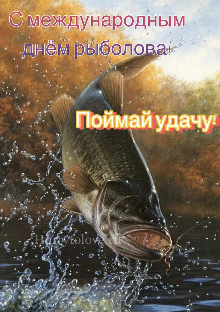 Всемирный день рыболовства