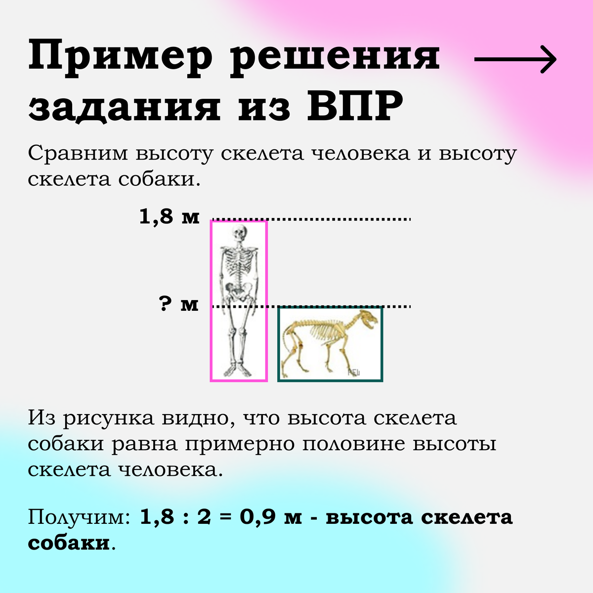 Ответы впр 24