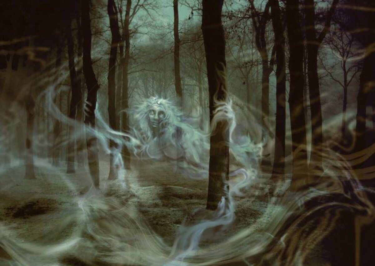 Яндекс картинка