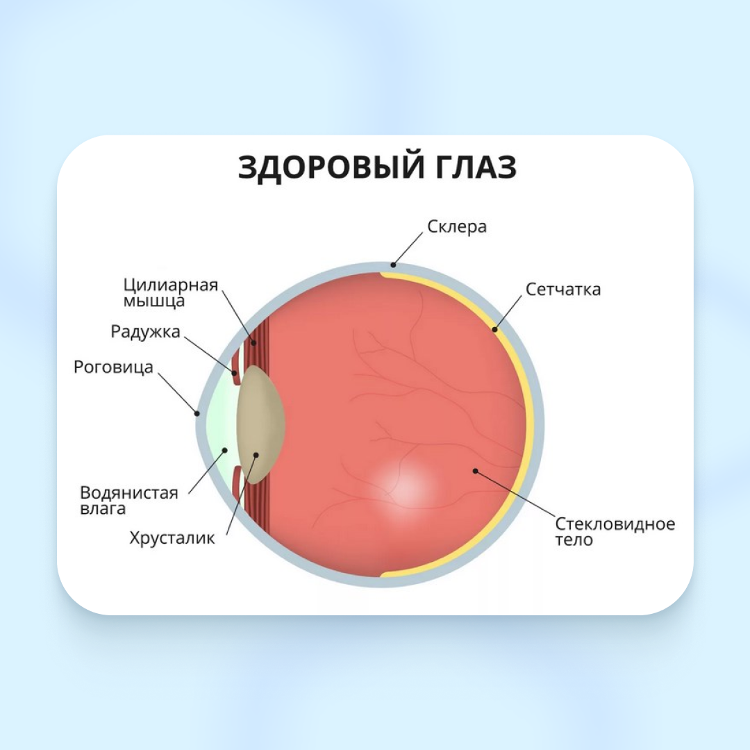 Может ли глаукома передаваться по наследству? | Статьи от клиники Сокол