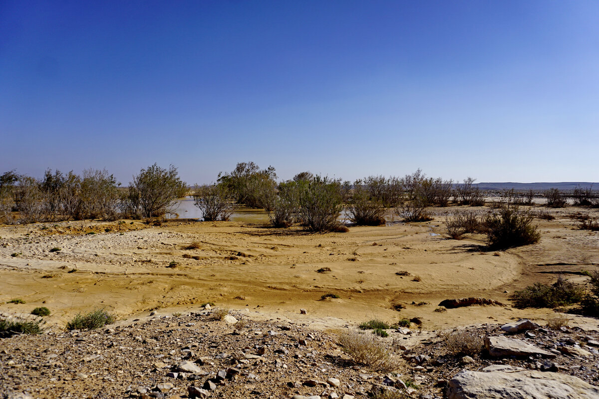 Иордания, трасса № 5