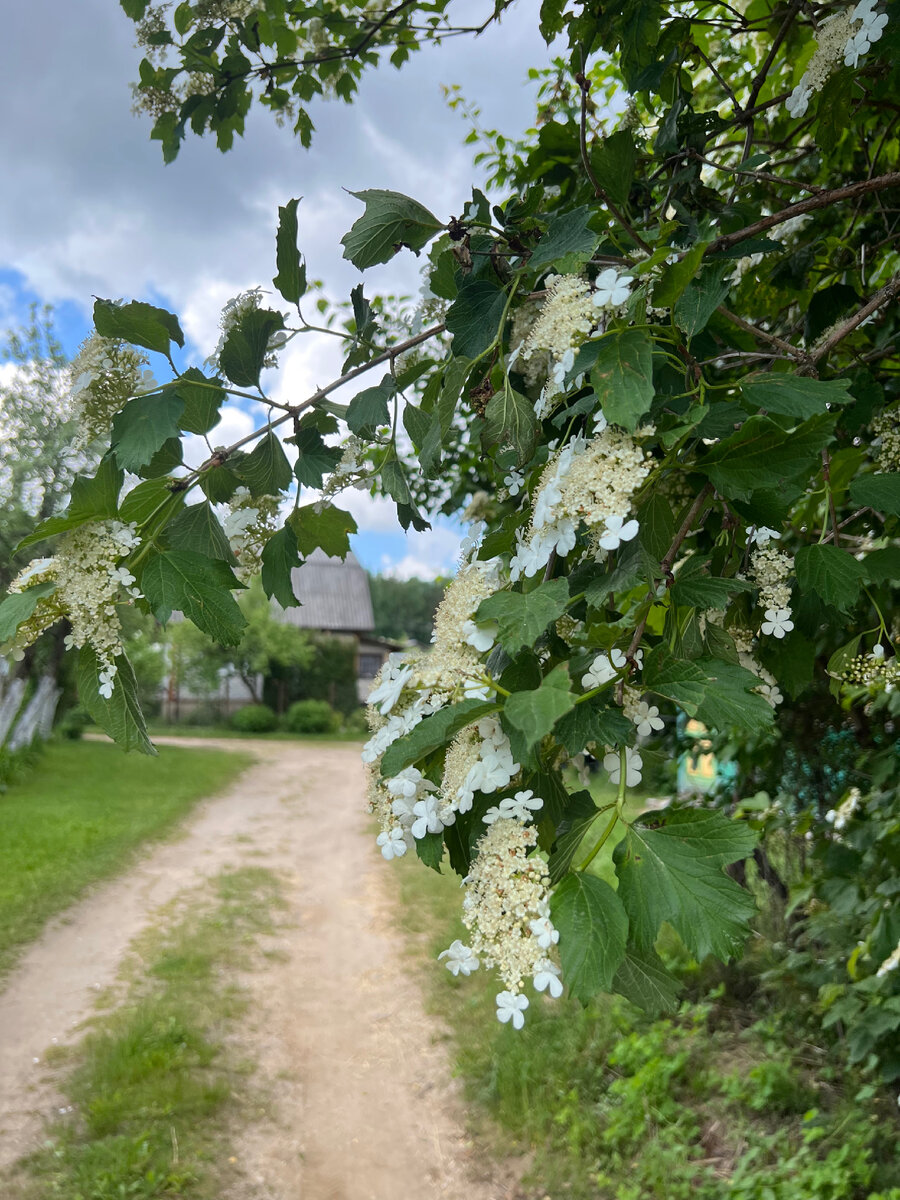Каждый выбирает свою дорогу