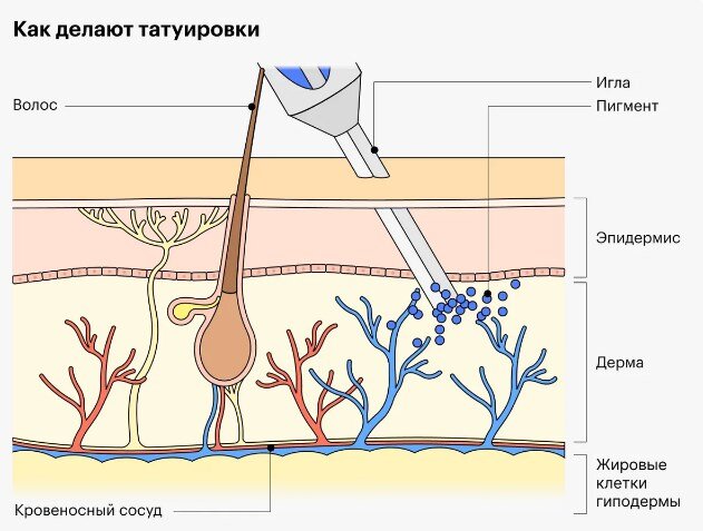 Влияние татуировки на физическое и психическое здоровье: вред или польза?