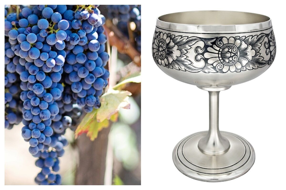 Виноградная лоза